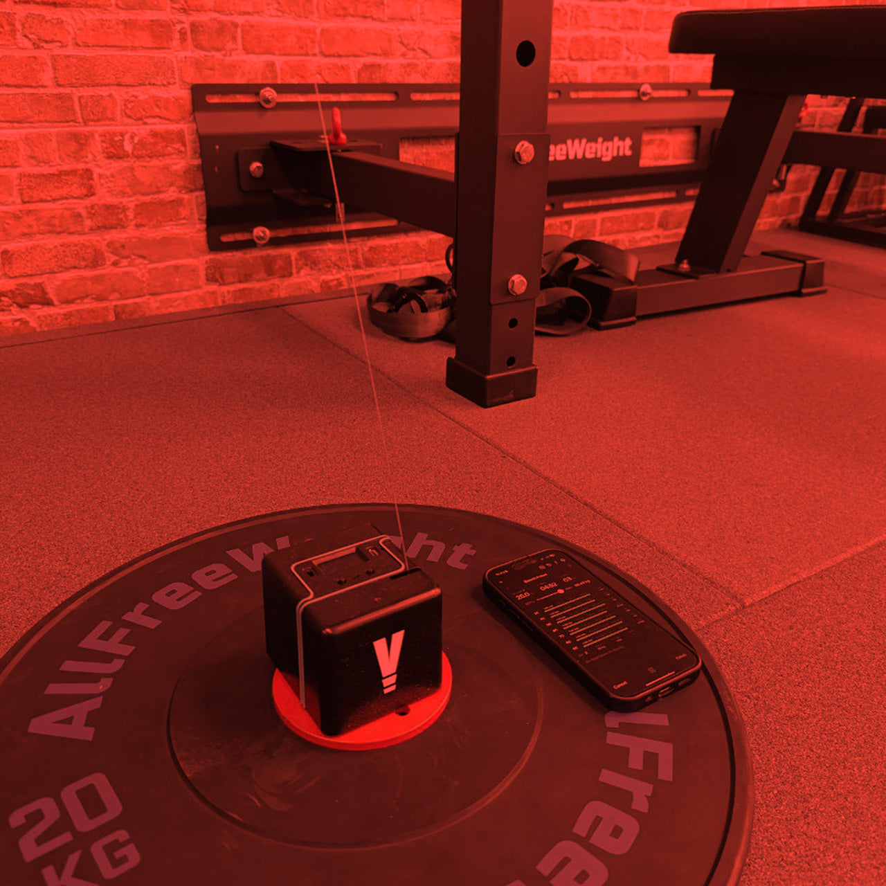 Ciencia, individualidad y acompañamiento